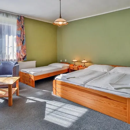 Gasthof Penzion Vyton *